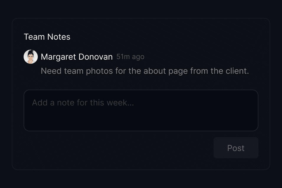 Team notes section on the project overview